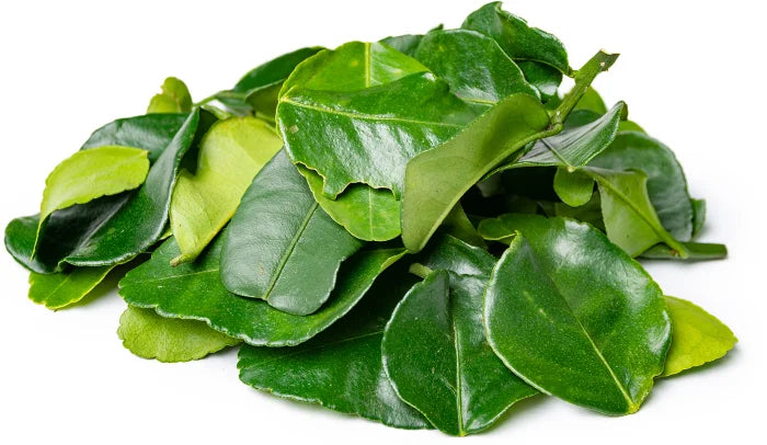 How do I store kaffir lime leaves?