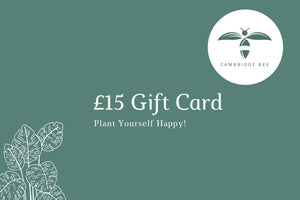 E-Gift Card - Cambridge Bee