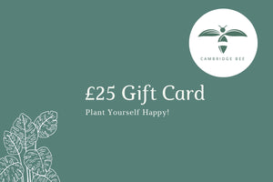 E-Gift Card - Cambridge Bee