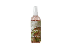 Air plants care spray - Cambridge Bee