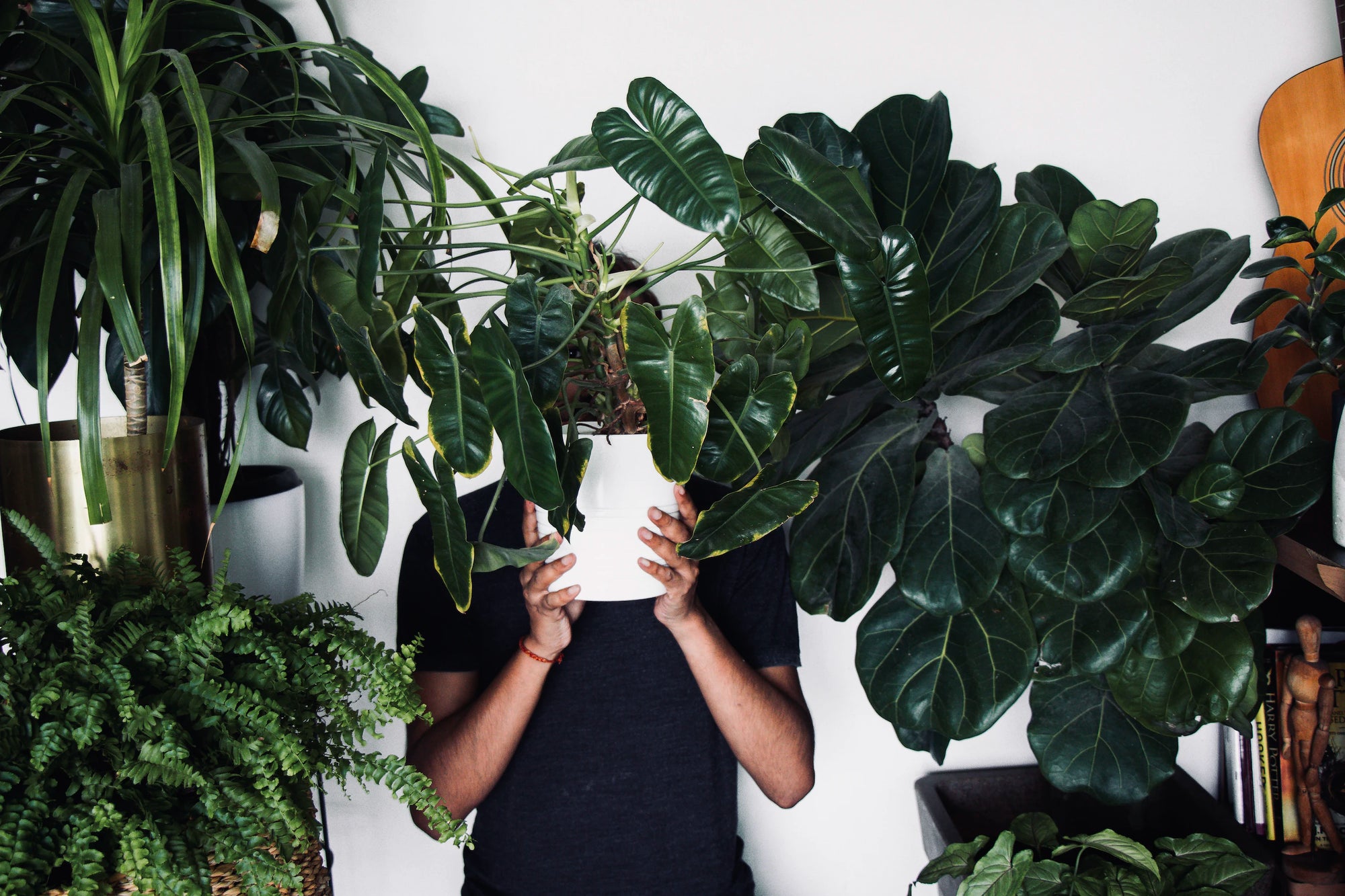 The Therapeutic Potential of Indoor Gardening: Mental Health Benefits for Urban Dwellers