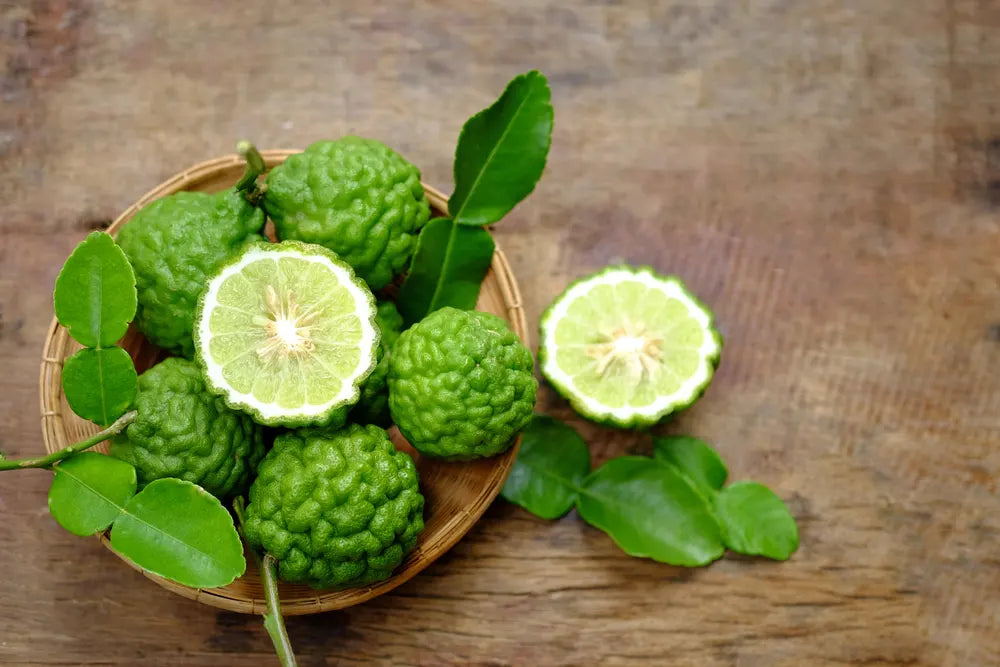 Unleashing the Power of Citrus Hystrix: Top 10 Kaffir Lime Recipes to Try at Home