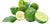 Kaffir Lime Leaves Unveiled: The Citrus Hystrix Tree's Flavorful and Fragrant Gifts to the Culinary World