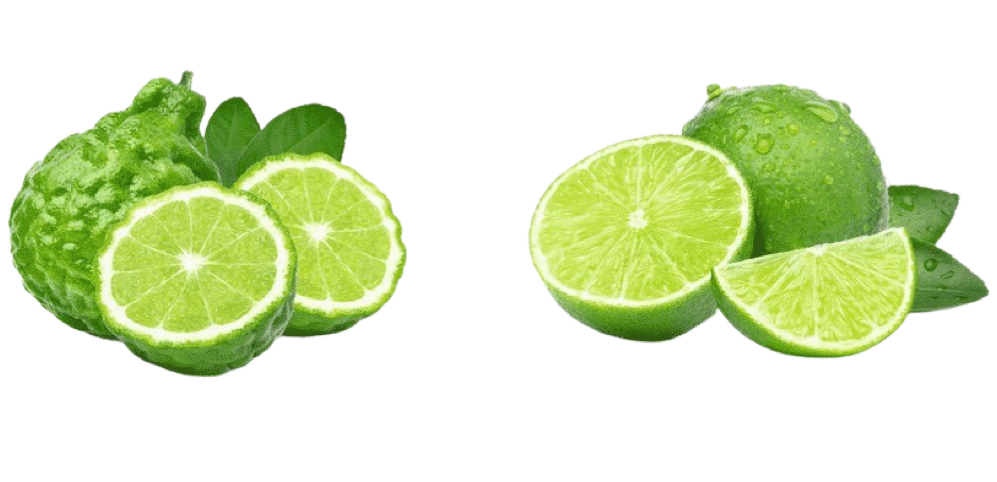 What is the Difference between Kaffir Lime and Regular Lime?