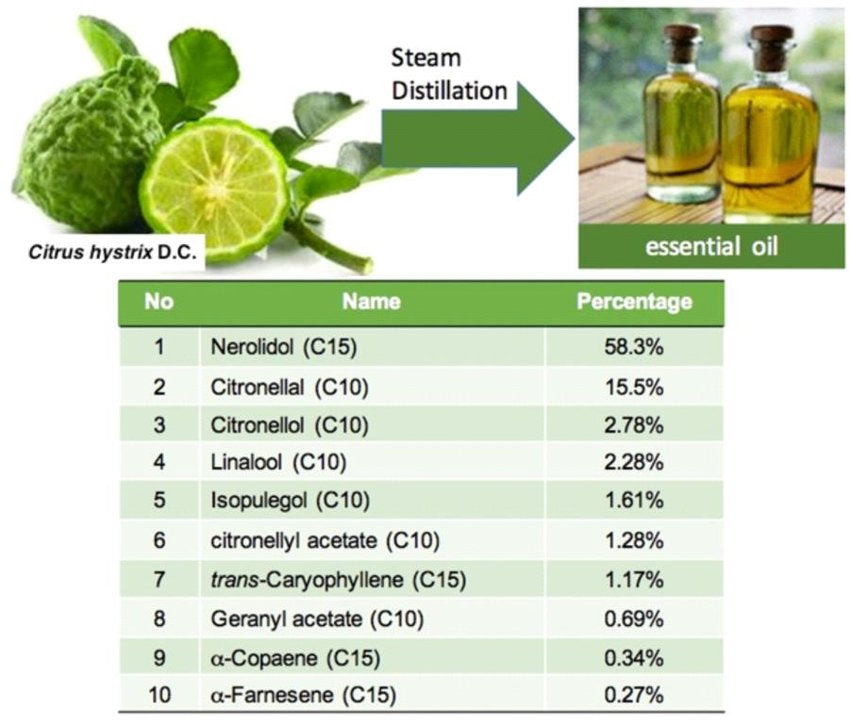 The Science Behind the Flavor: Understanding the Unique Chemical Compounds in Citrus Hystrix