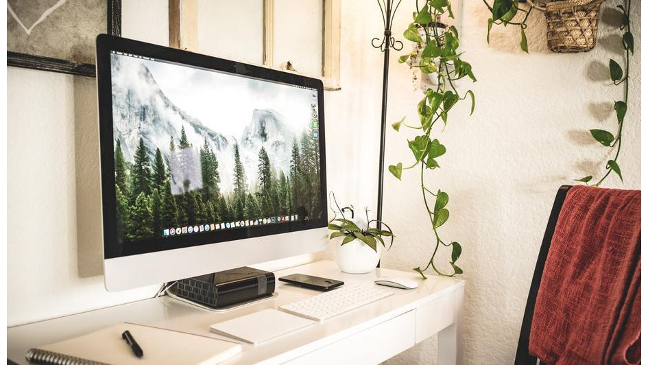 Winter is coming! Helpful Guide of Top 5 plants for low light period.
