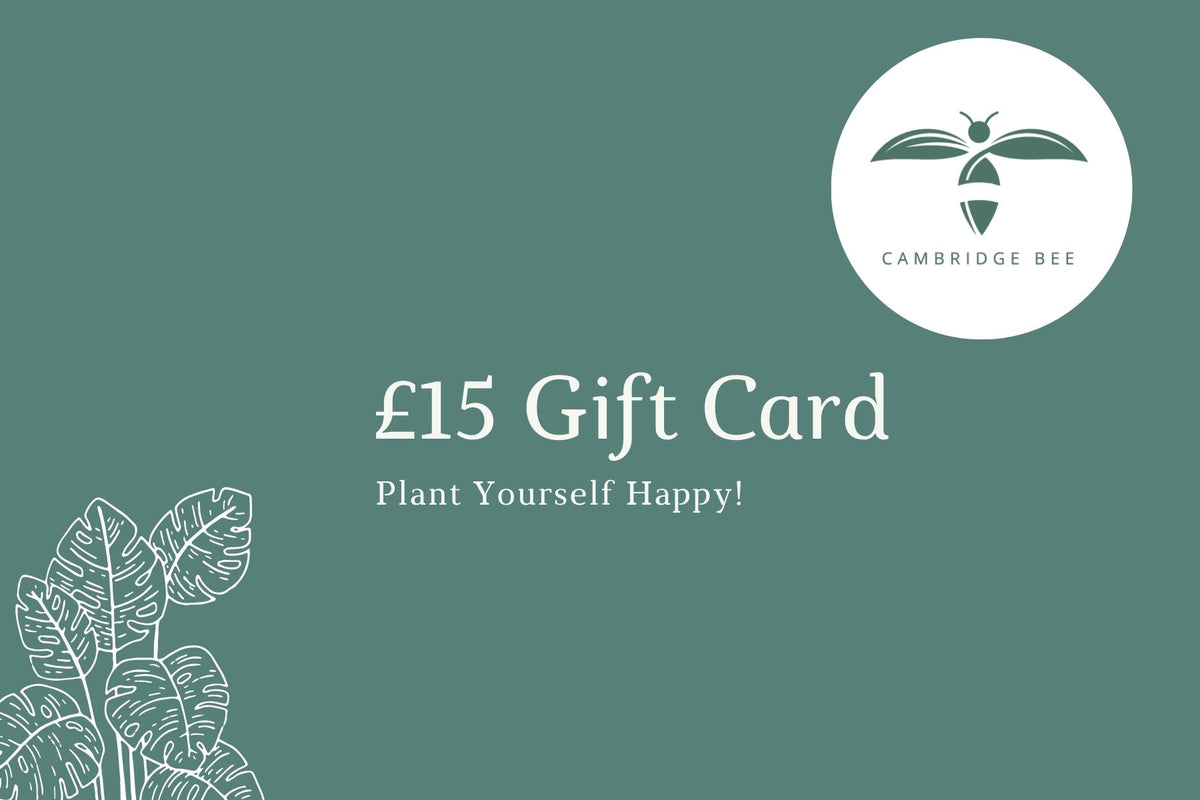 E-Gift Card - Cambridge Bee