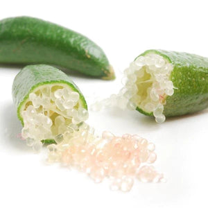 Citrus Australasica - Finger Lime ⌀12cm - Cambridge Bee