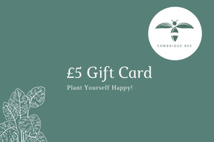 E-Gift Card - Cambridge Bee