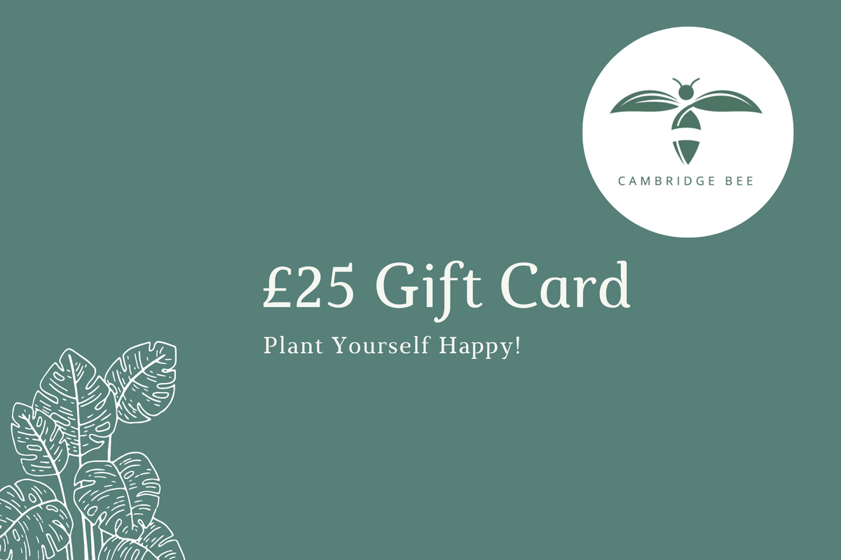 E-Gift Card - Cambridge Bee